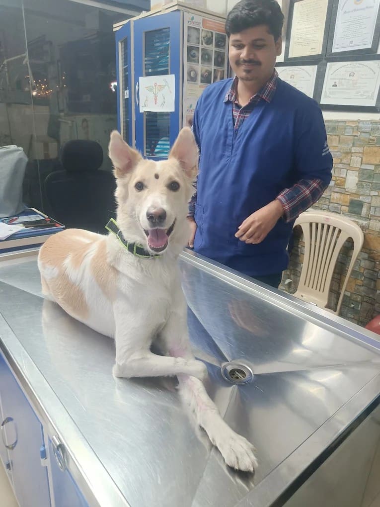 Dr. Pritesh Vidhate standing beside a relaxed white dog on the examination table