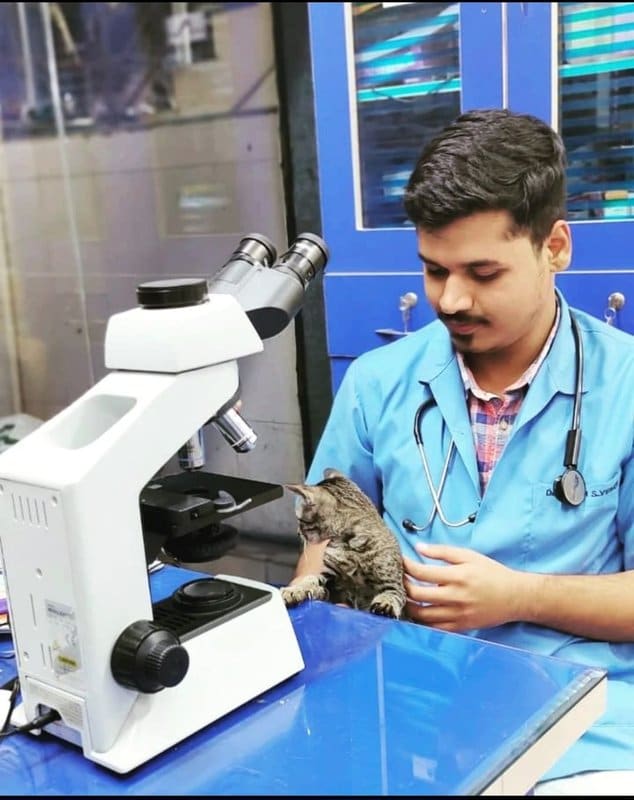 Dr. Pritesh Vidhate at the microscope with a tabby kitten on the consultation table